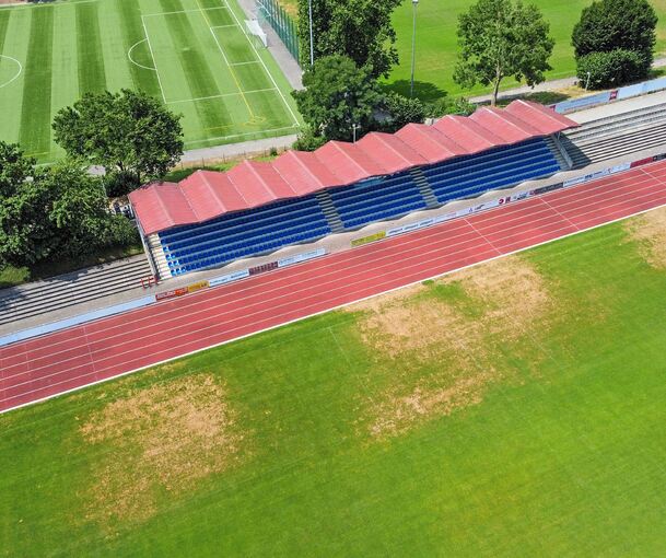 Kleines Stadion, großer Name: Mit der U19 des FC Bayern könnte ein kommender Weltstar in Freiberg auflaufen.