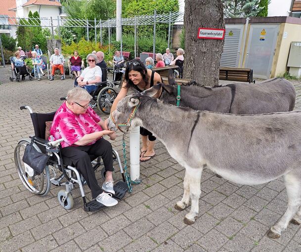 Die Senioren und Seniorinnen im Kleeblatt-Pflegeheim freuen sich über den Besuch von Mihaela Zadro und ihren Zwergeseln. Foto: Holm Wolschendorf