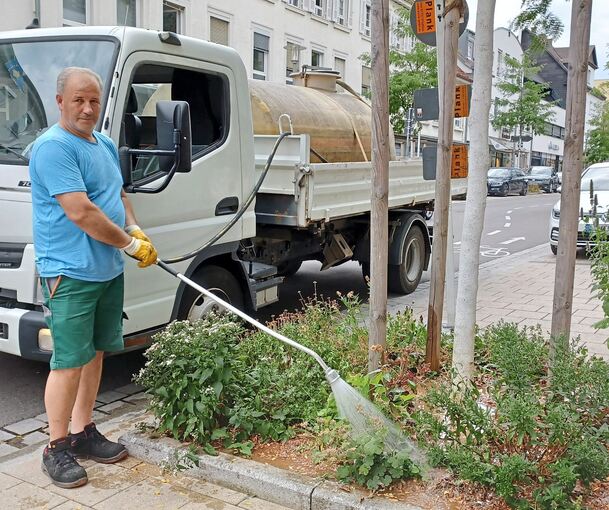 Wasser marsch in der Körnerstraße: Straßenbäume brauchen jetzt dringend Wasser, um die Trockenheit zu überstehen. Am heutigen Donnerstag werden erneut hohe Temperaturen erwartet. Fotos: Marion Blum