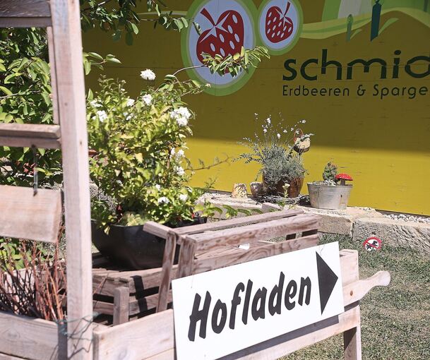 Erdbeeren und Melonen fürs Eis kommen vom eigenen Feld. Zum Betrieb gehört auch ein Hofladen.