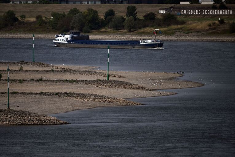 Niedrigwasser im Rhein Niedrigwasser im Rhein