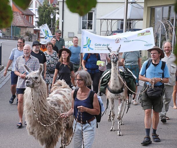 Die Pilgergruppe zieht in Gemmrigheim ein. Immer mit dabei sind die zwei Lamas. Foto: Alfred Drossel