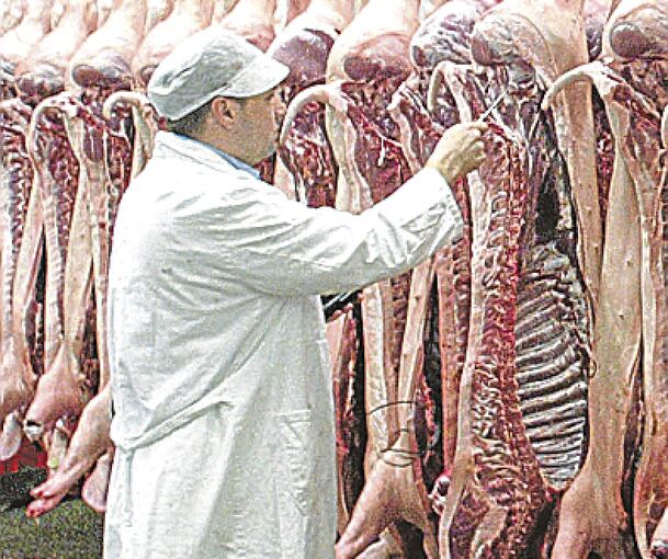 Schlachthöfe stehen immer wieder in der Kritik von Tierschützern, aber auch Behörden. Symbolfoto: A. Drossel