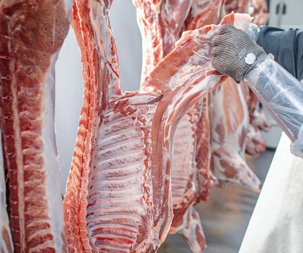 Schlachthöfe stehen immer wieder in der Kritik von Tierschützern, aber auch Behörden. Symbolfoto: st.kolesnikov - stock.adobe.com