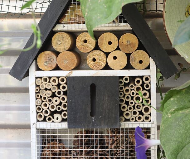 Eines von vielen Bienenhotels. Foto: Ramona Theiss