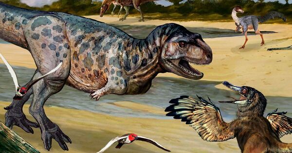 Huesos de nueva especie de dinosaurio descubiertos en Argentina