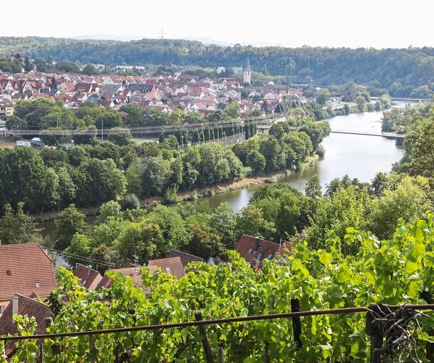 Auf der einen Seite des Neckars Alt-Hoheneck, auf der anderen Neckarweihingen: Zwei Ludwigsburger Stadtteile liegen direkt am Fluss. Foto: Ramona Theiss
