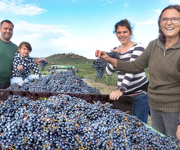 Monika Hafendörfer (rechts) mit ihrer Familie beim Lesestart in der Bönnigheimer Steingrube mit Blick zum Michaelsberg.Fotos: Alfred Drossel
