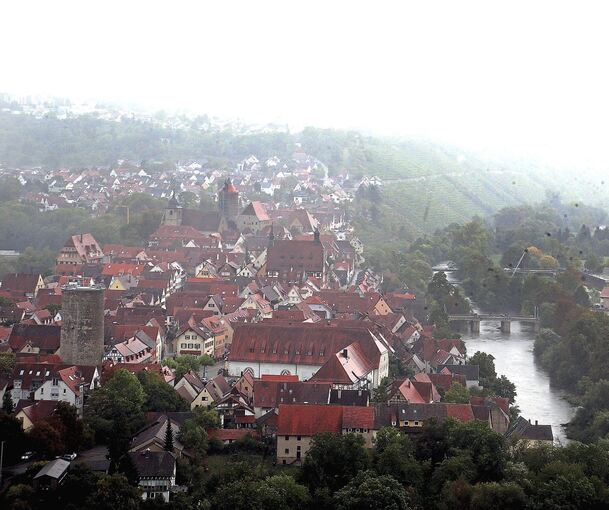 Dichte Regenwolken und Nebel über Besigheim. Für die Weinlese ist das kein optimales Wetter. Fotos: Alfred Drossel