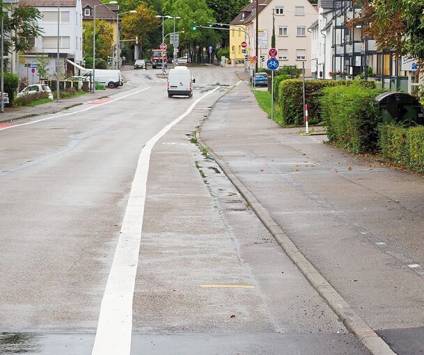 Radwege gibt es viele in Ludwigsburg. Dafür ist die Stadt jetzt ausgezeichnet worden.