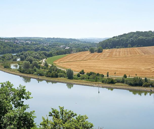 Die Zugwiesen am Neckar sind aus Sicht des Naturschutzes ein großer Gewinn für Ludwigsburg und die Region.Archivfoto:Andreas Becker