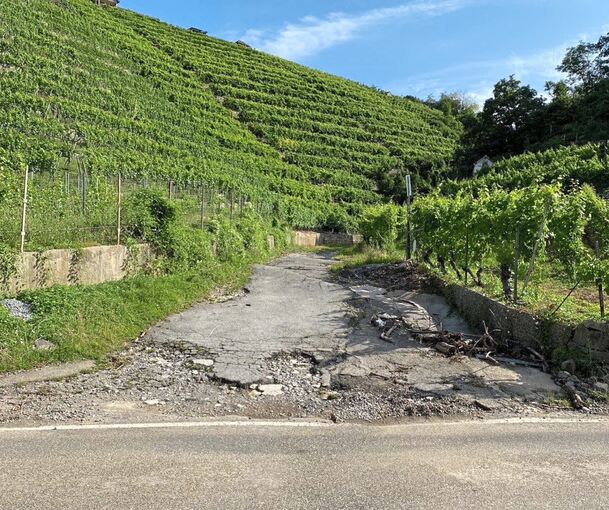 Auch die Decke des Wirtschaftswegs leidet unter der zu kleinen Verdolung der Wurmbergklinge. Foto: Stadt Besigheim/p