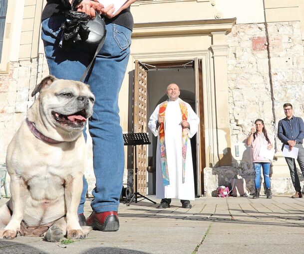 Pfarrer Alois Krist bei der Tiersegnung vor der Dreieinigkeitskirche. Foto: Ramona Theiss