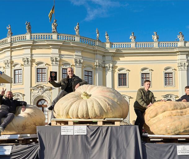 Der schwerste Kürbis Europas kommt erneut aus Italien. Vorjahressiger Stefano Cutrupi gewann mit seinem mächtigen Exemplar mit 1100,5 Kilogramm, zweiter wurde Iwan Horde aus den Niederlanden (links, 891,5), Platz drei belegten die Deutschen Meister D