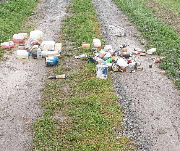 Unbekannte haben ihren Müll einfach in die Landschaft geworfen. Foto: Polizei Vaihingen