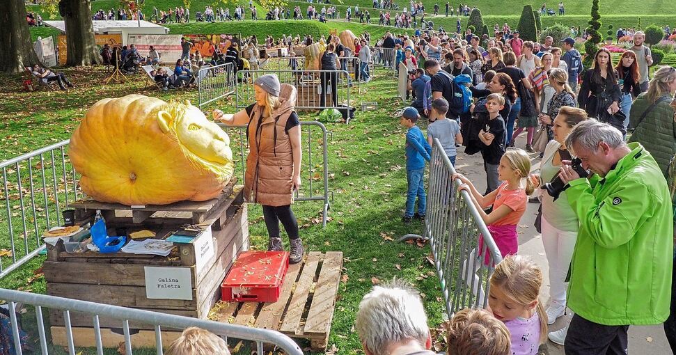 Wie wird aus einem Kürbis in XXL-Format der König der Löwen? Galina Faletra zeigte, wie es geht und wurde für ihr geschnitztes Kunstwerk von zahlreichen Blüba-Besuchern bewundert. Foto: Holm Wolschendorf