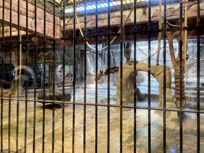 Pata Zoo in Bangkok