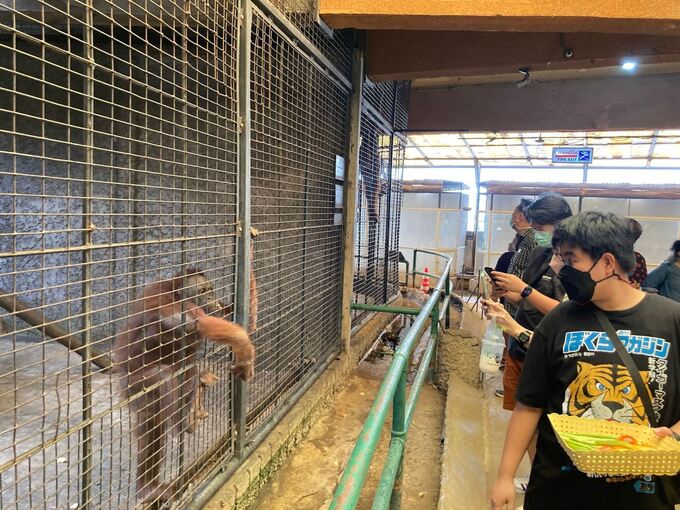 Pata Zoo in Bangkok