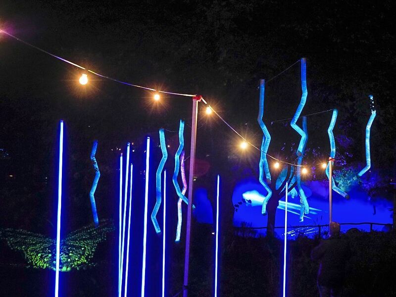 350_0008_3315232_28_10_22Wolschendorf_26