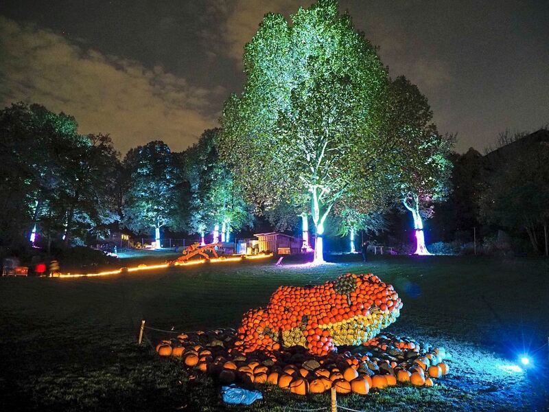 350_0008_3315233_28_10_22Wolschendorf_30