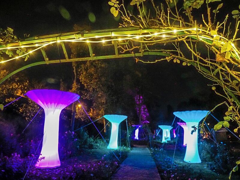 350_0008_3315237_28_10_22Wolschendorf_27