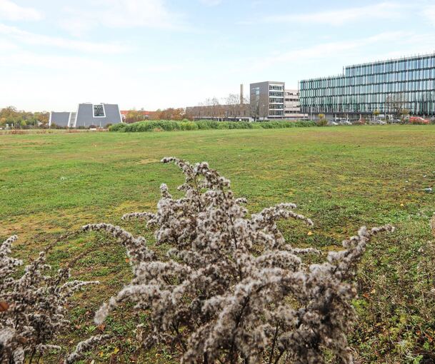 Auf der Gewerbefläche Waldäcker III (ehemalige Kleingartenanlage Fromannkaserne) wollen die Stadtwerke ab 2023 eine große Energiezentrale mit zwei Biomethananlagen und einem Blockheizkraftwerk bauen. Foto: Ramona Theiss