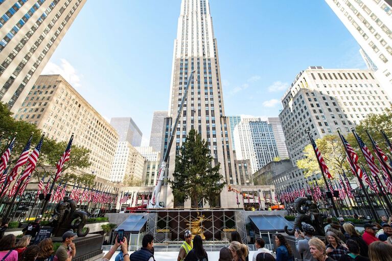 Weihnachtsbaum am Rockefeller Center in New York angekommen Weihnachtsbaum am Rockefeller Center in New York angekommen