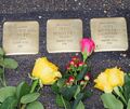 Die Steine der Familie Wertheimer in der Mathildenstraße. Foto: Holm Wolschendorf