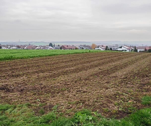 Südlich der Wagnerstraße in Freiberg, wo jetzt noch Ackerfläche ist, soll ein Wohngebiet entstehen. Foto: Holm Wolschendorf