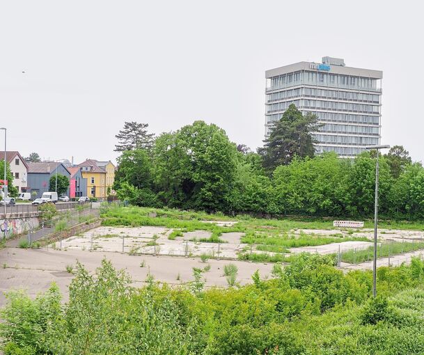 Blick über das brachliegende Kepler-Areal Richtung mhplus-Hochhaus. Archivfoto: Holm Wolschendorf