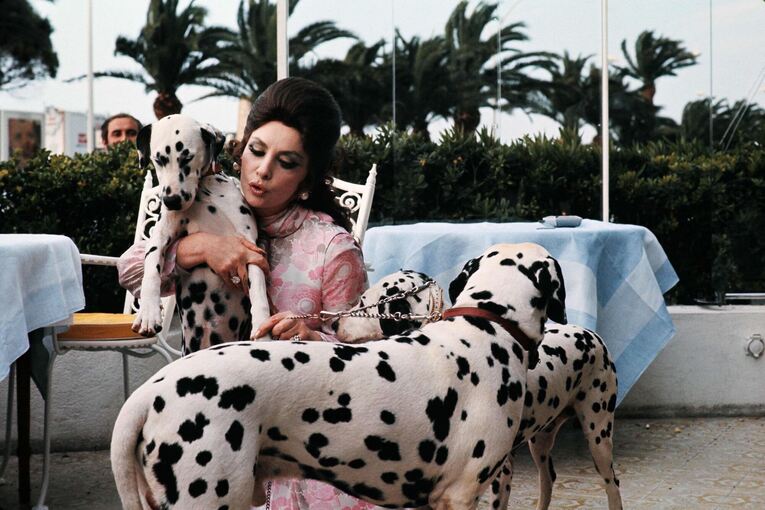 Gina Lollobrigida Gina Lollobrigida