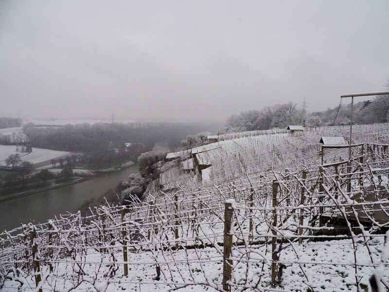 Die Weinberge in Poppenweiler und der Neckar nebenan in weiß gehüllt. Foto: Holm Wolschendorf