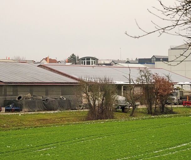 In der Schäferei Kurz in Hochdorf sollen Schafe geschächtet worden sein. Foto: Holm Wolschendorf