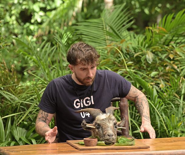 Auch Ziegenaugen sind Teil von Gigis Ekel-Gericht im Dschungel. Foto: Stefan Thoyah/RTL/dpa