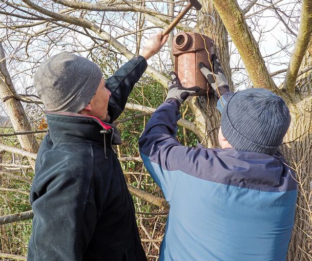 Helfer des NABU bringen Nistkästen an. Fotos: Holm Wolschendorf