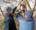 Helfer des NABU bringen Nistkästen an. Fotos: Holm Wolschendorf