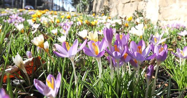 Schönes Wetter in Ludwigsburg – aber nur für kurze Zeit. Schönes Wetter in Ludwigsburg – aber nur für kurze Zeit.