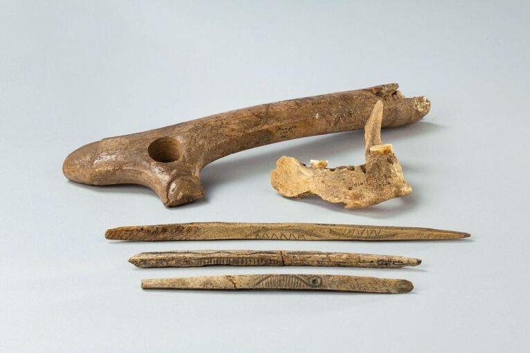 Überleben in der Eiszeit Überleben in der Eiszeit