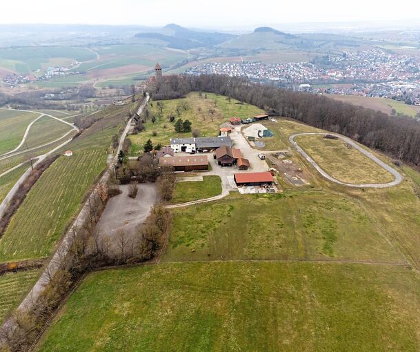 Auf dem Lichtenberg kann der Hühnerstall entstehen.
