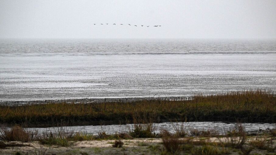 Wattenmeer Wattenmeer