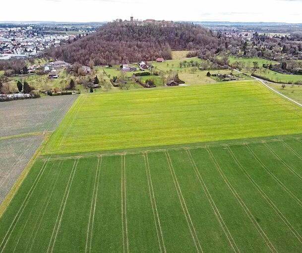 Blick auf den Schanzacker am Fuße des Hohenaspergs. Archivfoto: Wolschendorf