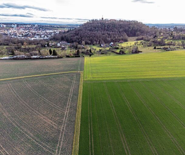 Hier auf dem Schanzacker prüft das Land den Bau einer Landeserstaufnahmeeinrichtung.