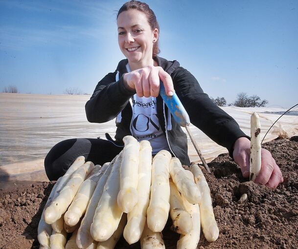 Anna-Sophia Schmid sticht in Kleinsachsenheim die ersten Spargel. Foto: Alfred Drossel