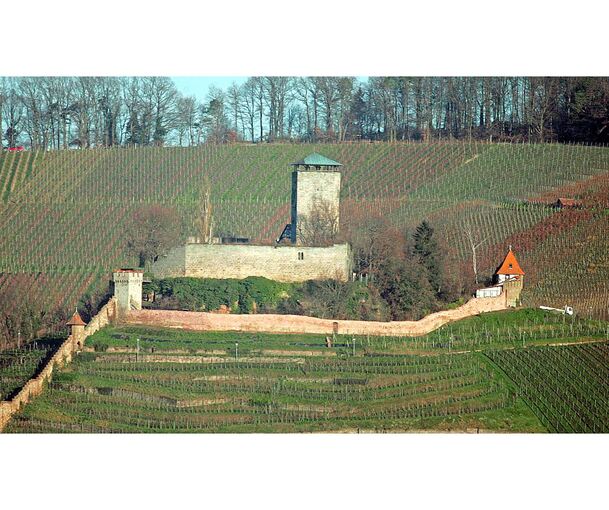 Wer wird die Stadt unter dem Langhans künftig führen?
