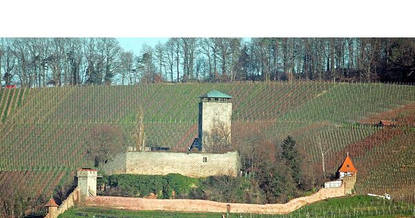 Wer wird die Stadt unter dem Langhans künftig führen?