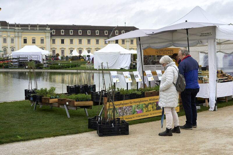 DBFile#Loc=350_LogType=8_Id=3575785_SubKey=High_V=2#20230429151852