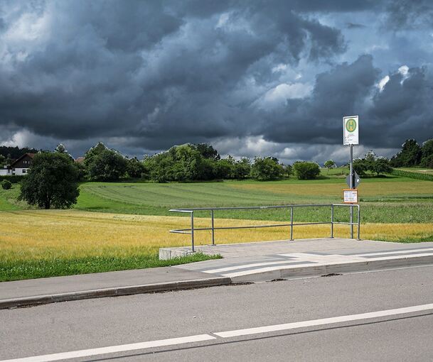 Das Rufbusprojekt im Landkreis Ludwigsburg ist vorerst gestoppt. Foto: Marijan Murat/dpa