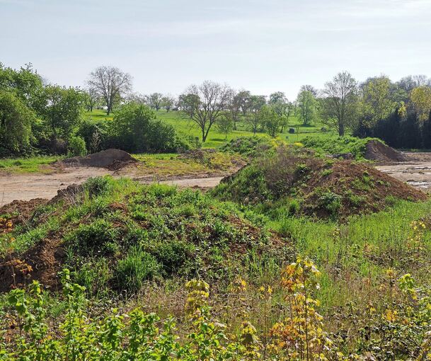 Diese Erdhügel sind Aushub von Engins Baustelle und haben in den vergangenen Wochen das Bild an der Aldinger Straße dominiert. Der Aushub wird hier zwischengelagert, bis Bodenproben entnommen wurden und feststeht, auf welchen Deponien das Material en