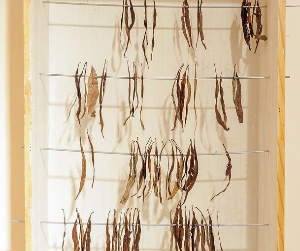 Eine Arbeit von Bertl Zagst. Foto: Holm Wolschendorf