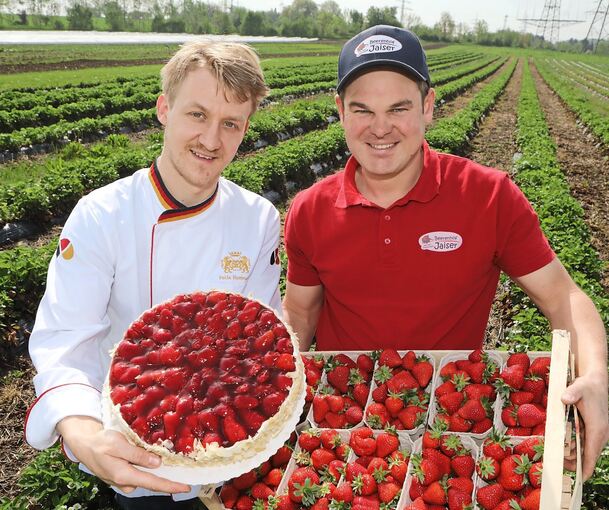 Frisch vom Feld in Freiberg: Felix Remmele (links) von Luckscheiter verarbeitet die Erdbeeren, die auf dem Beerenhof von Tim Jaiser wachsen. Foto: Ramona Theiss